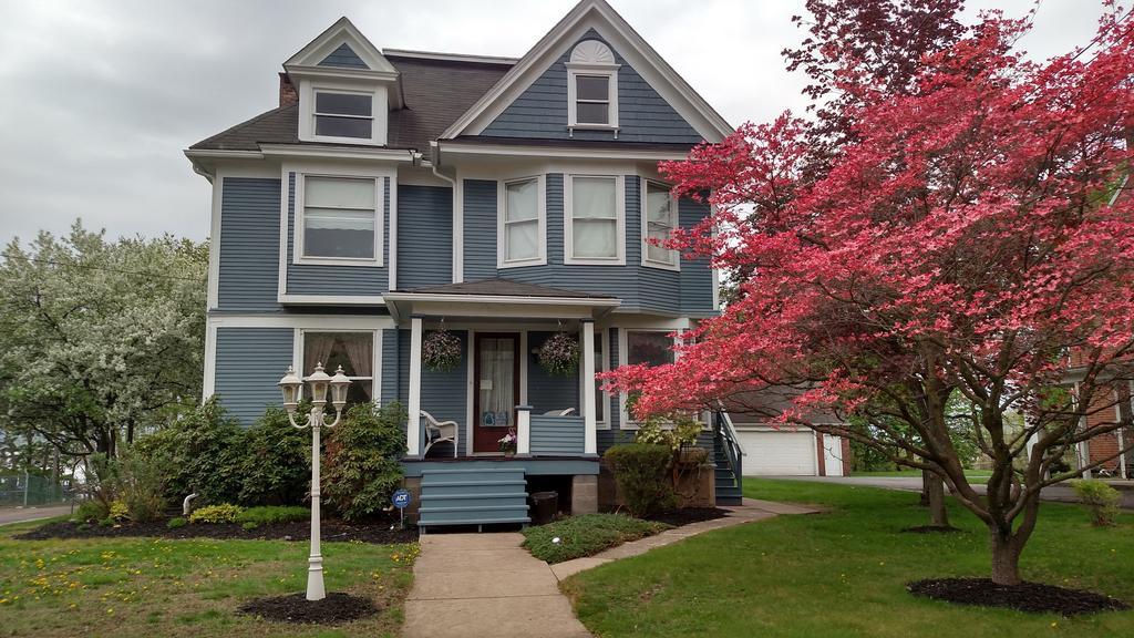 The White Birch Bed and breakfast 5*