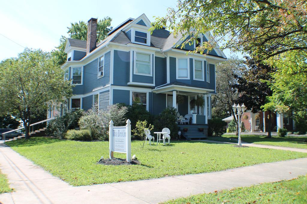 Bed and breakfast The White Birch